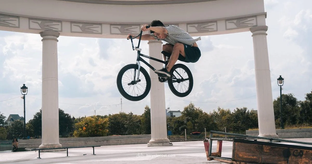 Haro BMX Bikes - BicycleCost