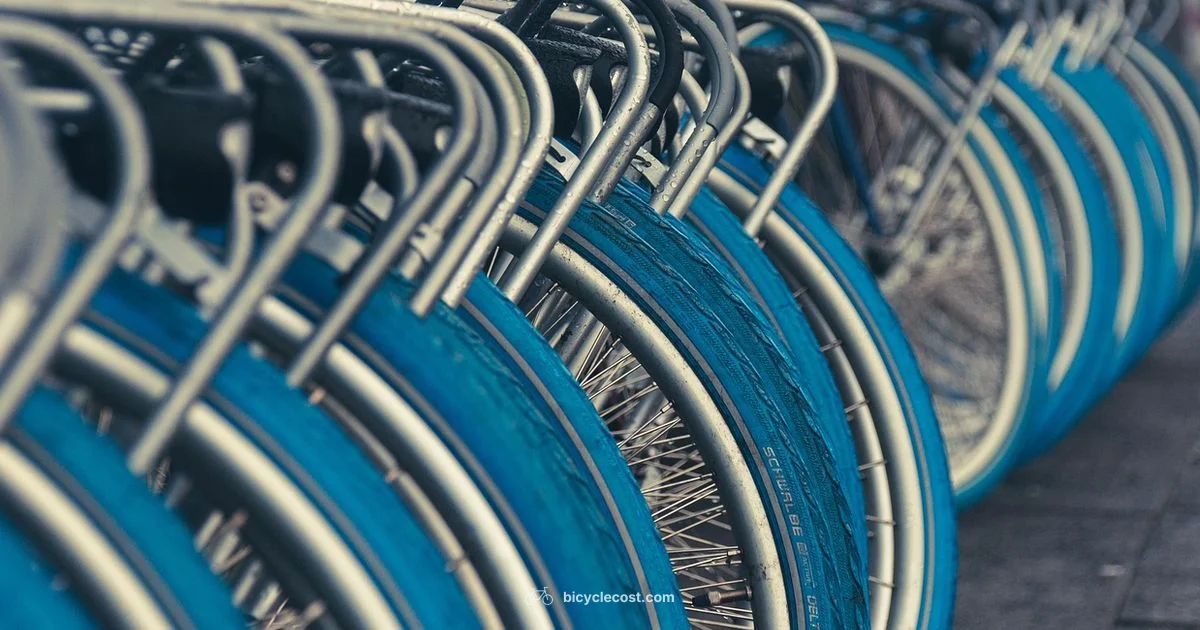 Top Online Bike Shops - BicycleCost