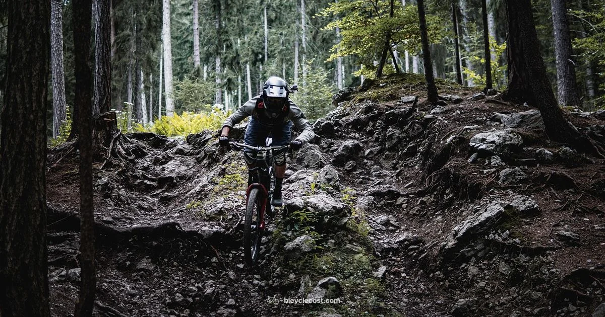 Mens Mountain Bike Guide - BicycleCost