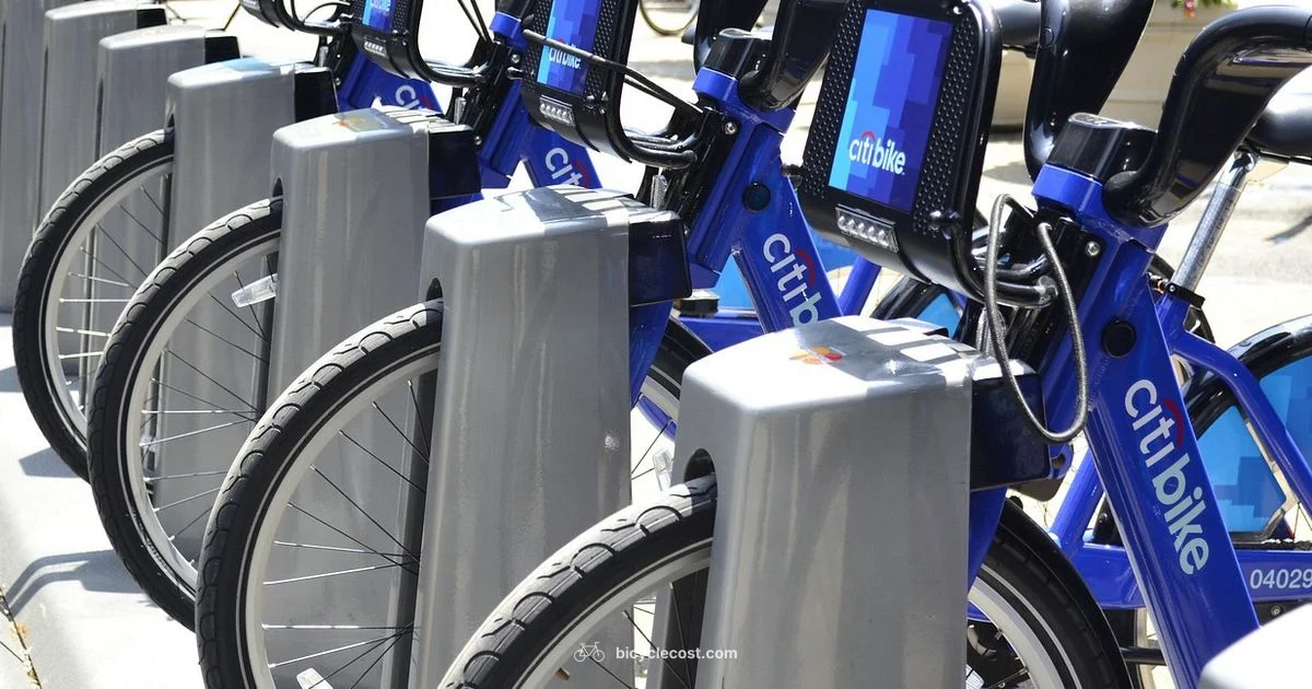 New York E Bike Guide New York E Bike Guide - BicycleCost