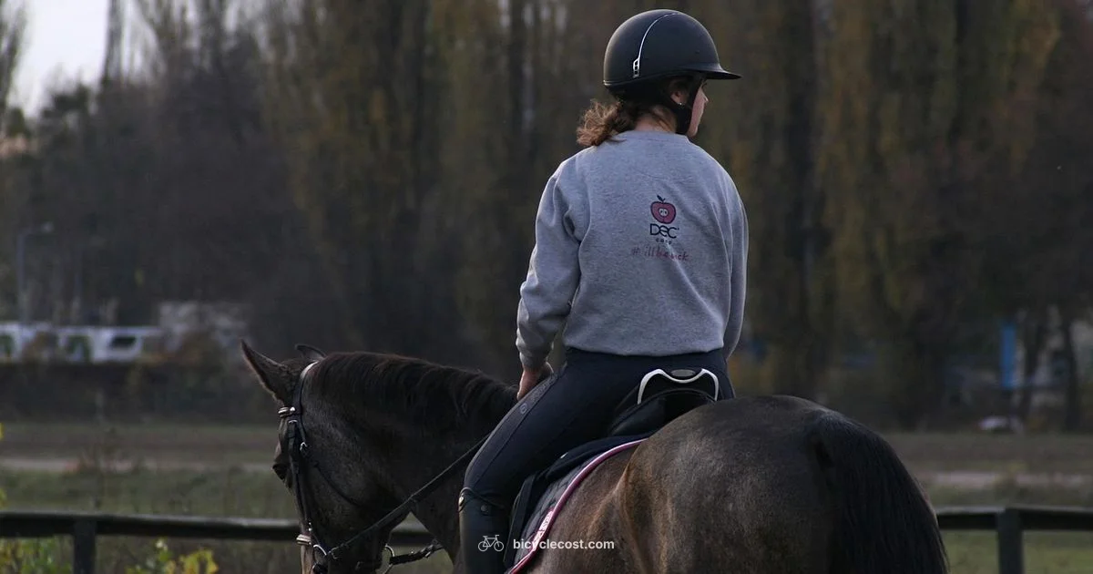 Smooth City Paths - BicycleCost