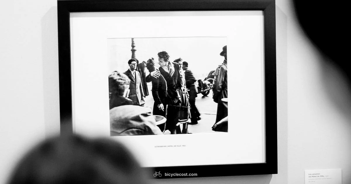 Frame Materials - BicycleCost