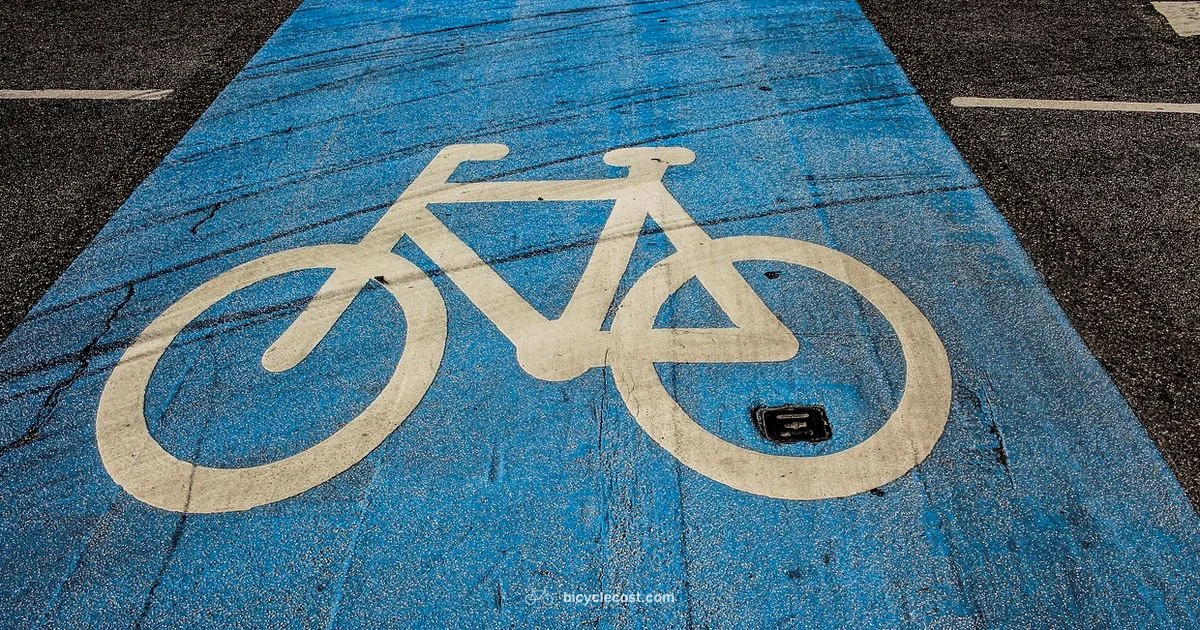 Belt Drive Basics - BicycleCost