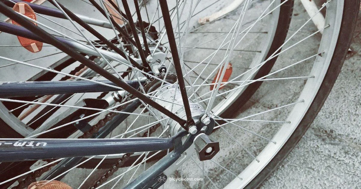 Wheel Spoke Tension - BicycleCost