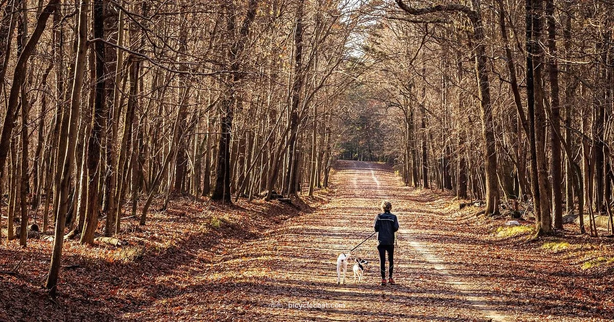 Dog Trailer Guide - BicycleCost