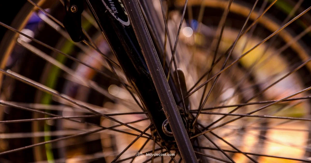 Flat Tire Guide - BicycleCost