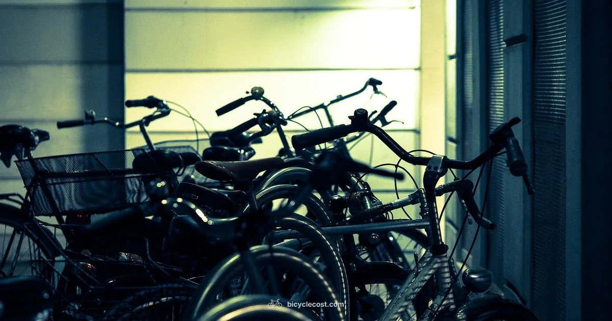 Endurance Two Ways - BicycleCost