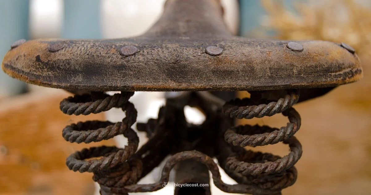 Serial Numbers - BicycleCost