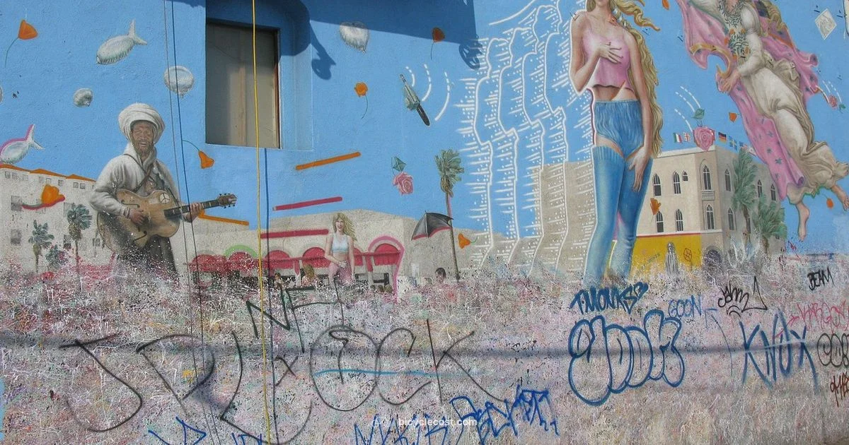 Beach Ride Picks Beach Ride Picks - BicycleCost