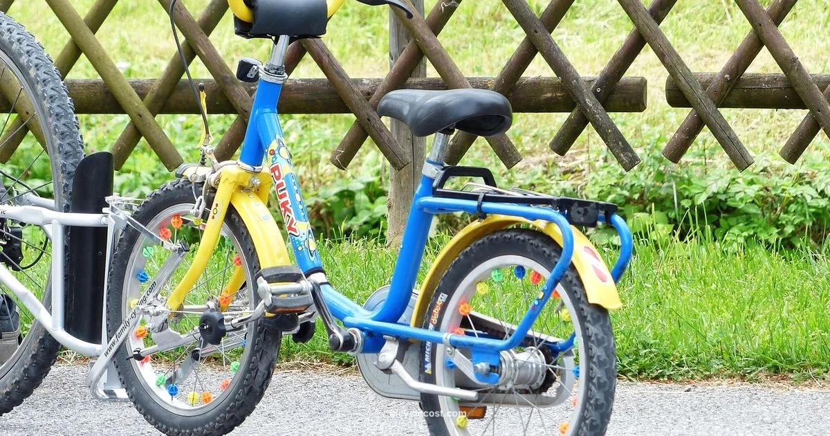 Two Rider Tandem - BicycleCost