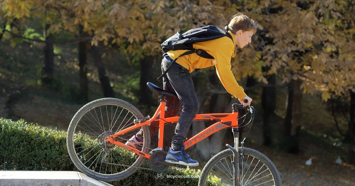 Ultra-light Fit for Kids - BicycleCost