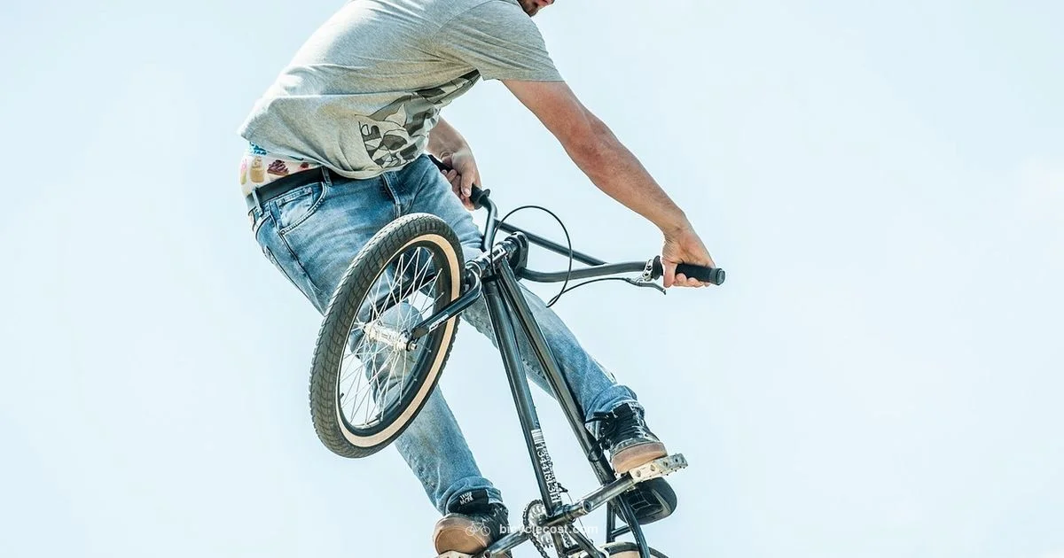 BMX Racing Guide - BicycleCost
