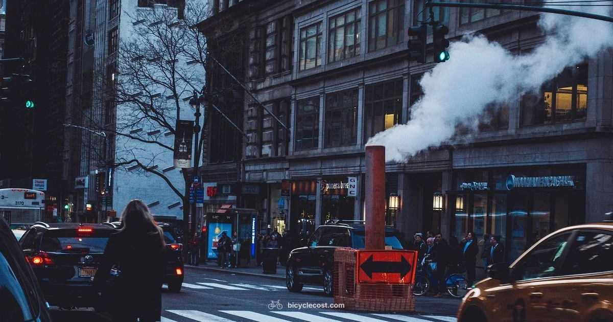 Rent NYC Bike - BicycleCost