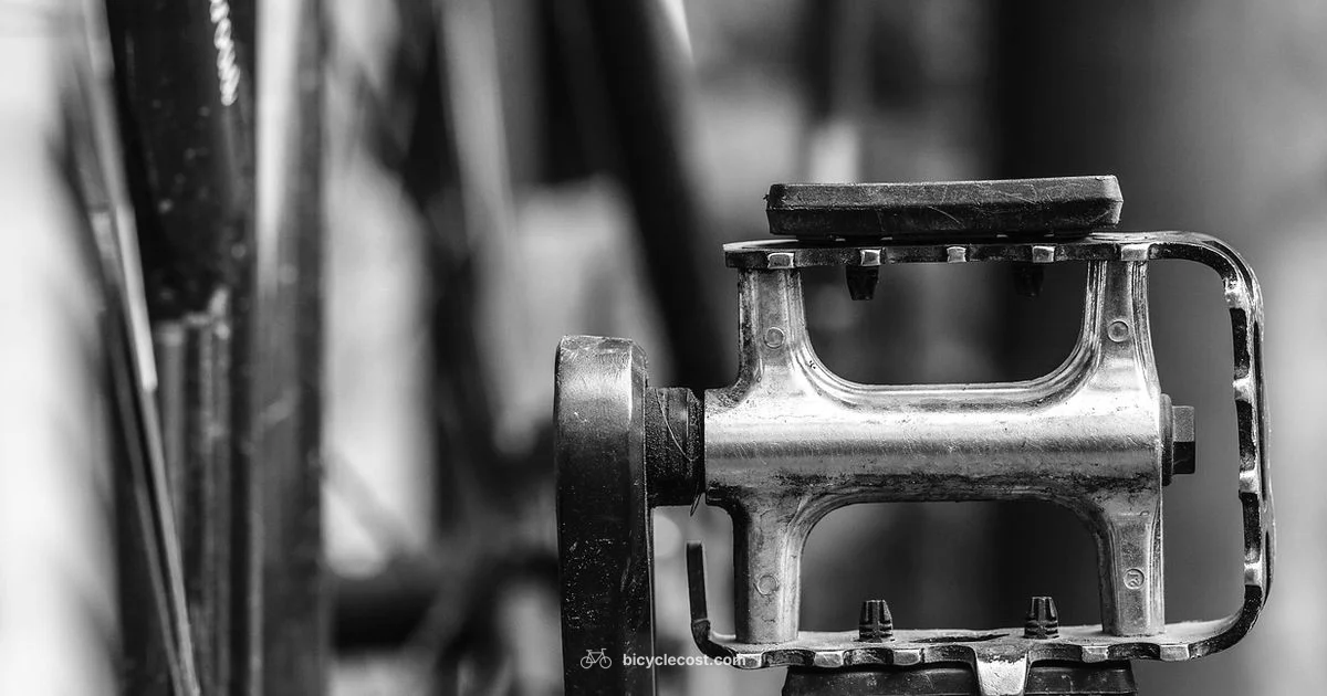 Find Your Ride - BicycleCost