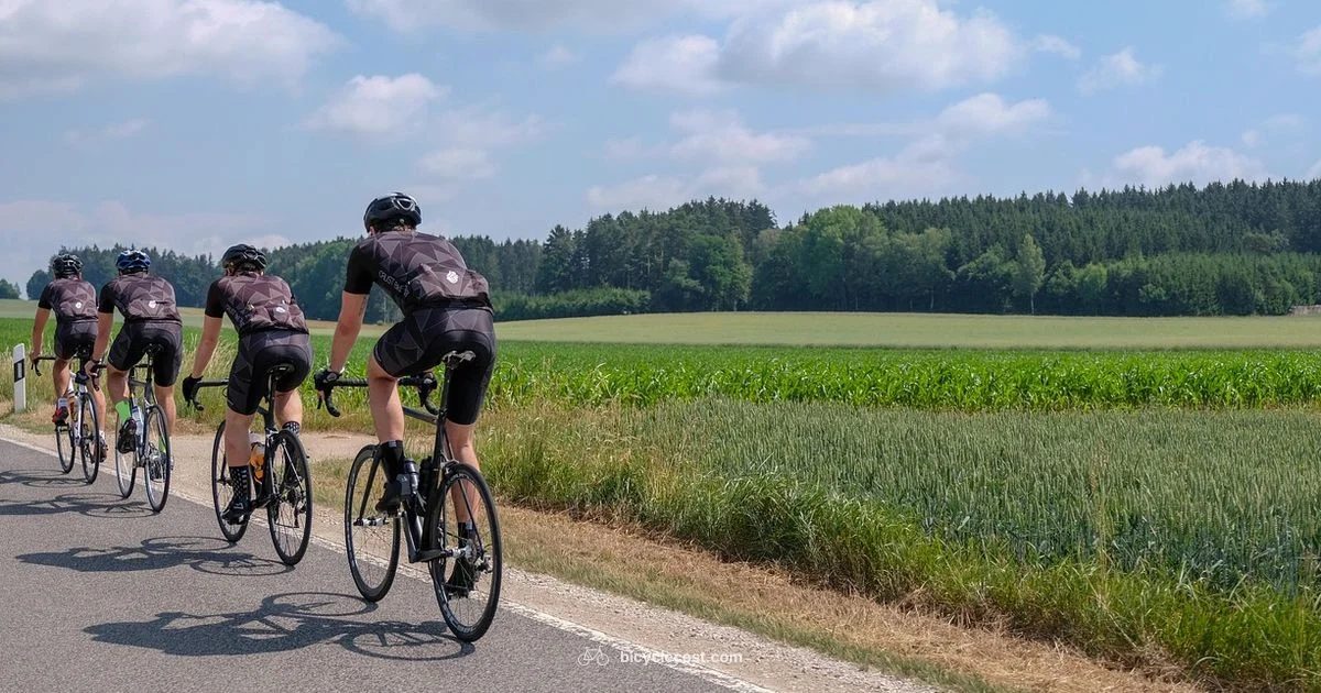 Bicycle Exercise Guide - BicycleCost