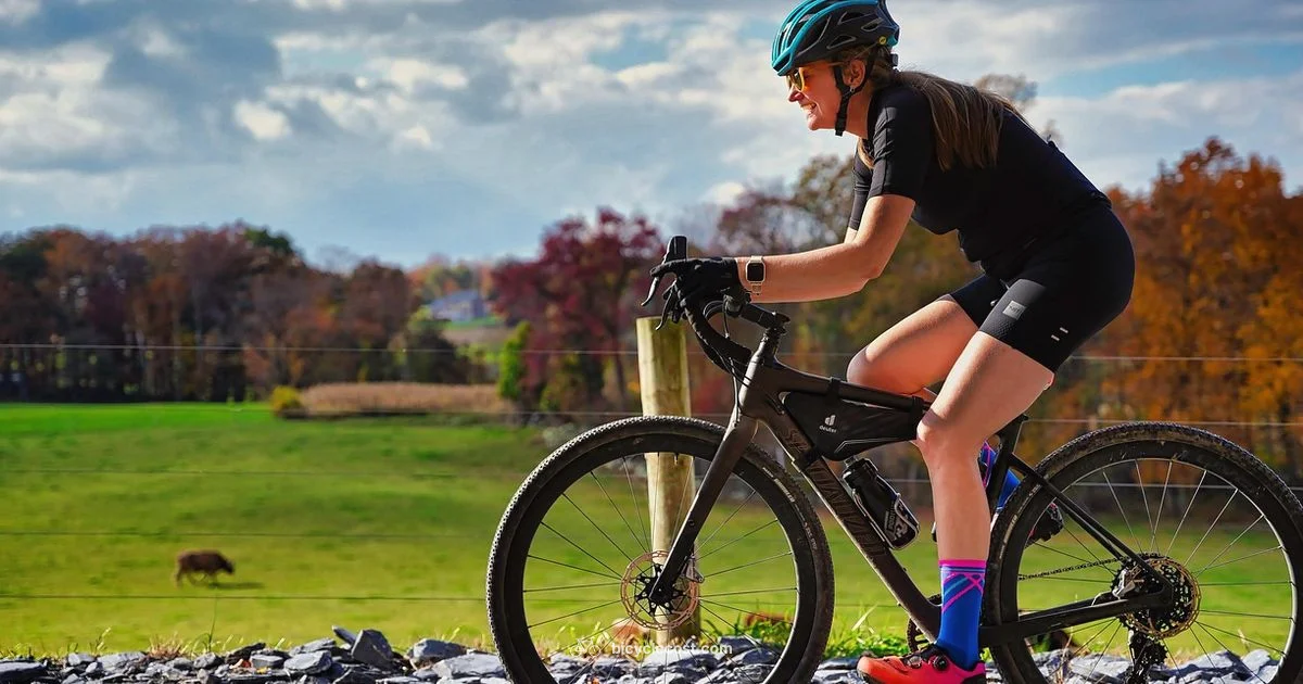 Bicycle Workout Guide - BicycleCost