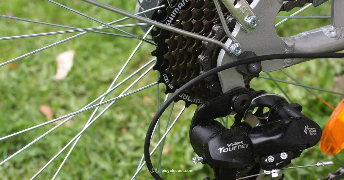 Lube the Chain Right - BicycleCost