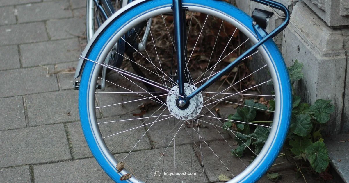 Tire Wear Check - BicycleCost