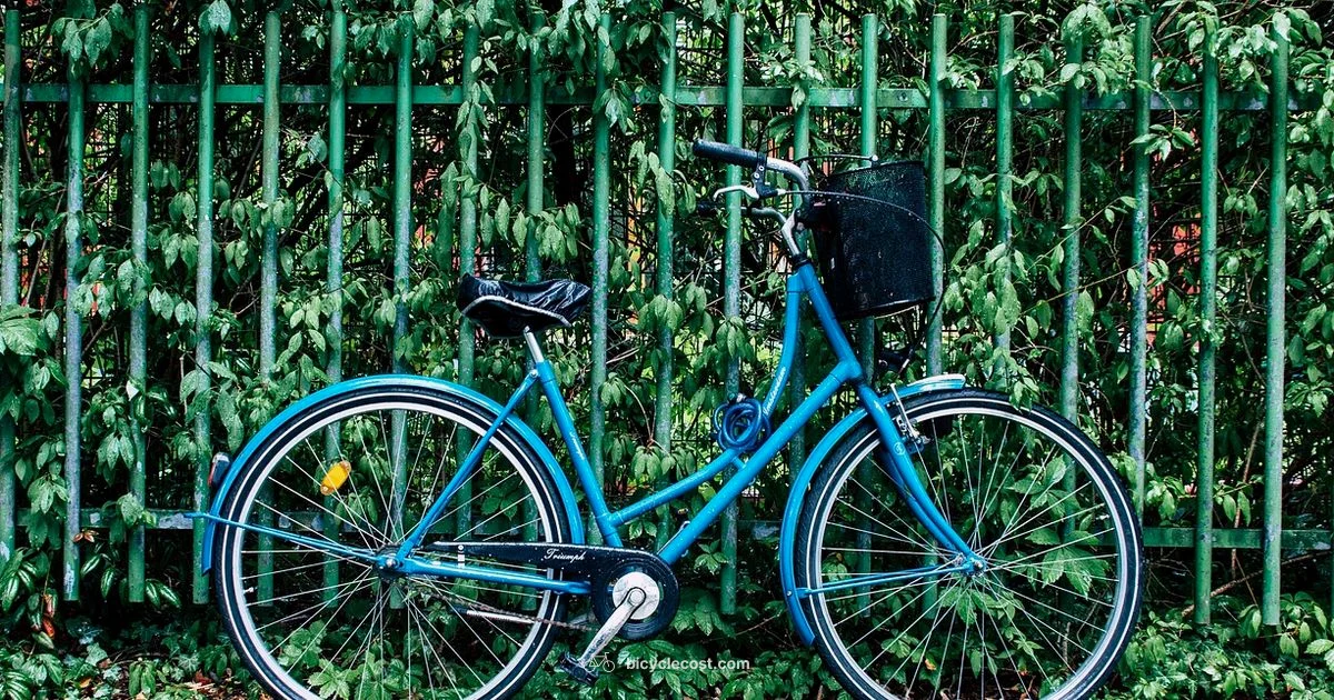 Sidewalk Cycling Rules - BicycleCost