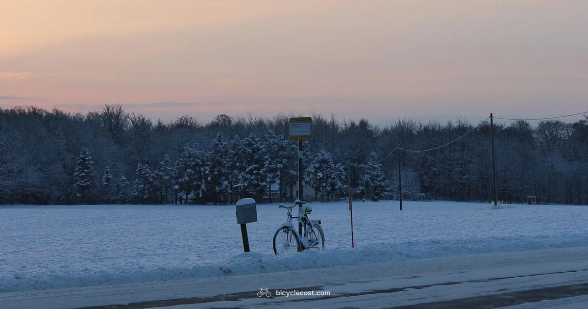 Bike on Bus Bike on Bus - BicycleCost