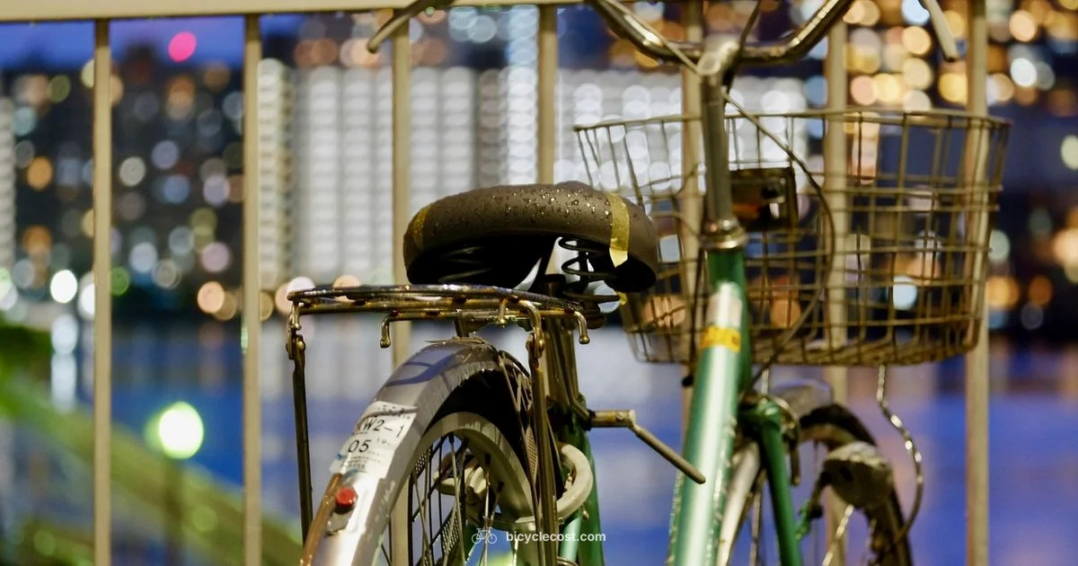 Fixed Gear Guide - BicycleCost