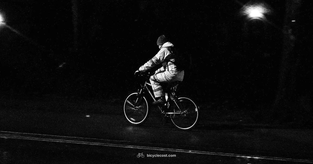 Bike Light Guide Bike Light Guide - BicycleCost