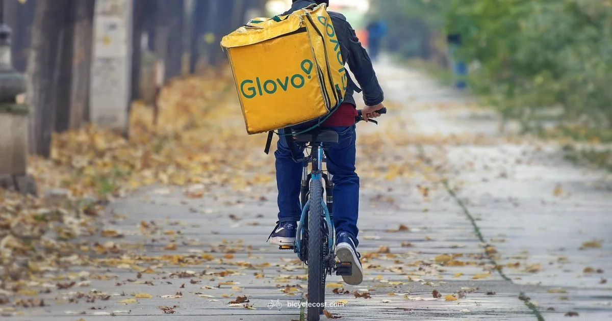 Bicycle Express Overview - BicycleCost