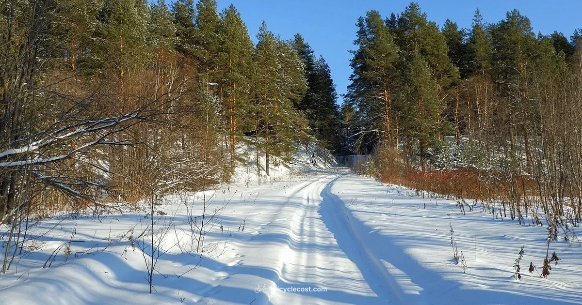 Snow Riding Guide - BicycleCost