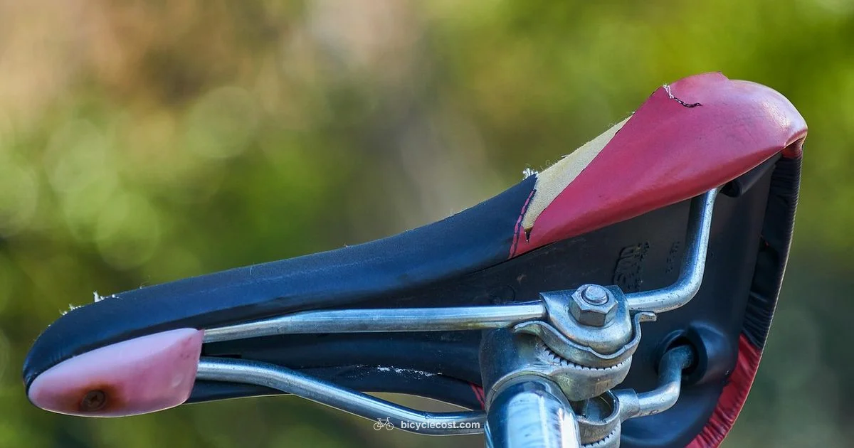 Saddle Comfort Essentials - BicycleCost