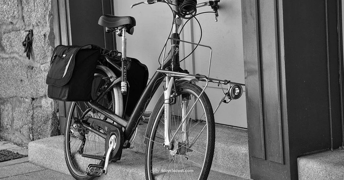 Two Wheel Bicycle - BicycleCost