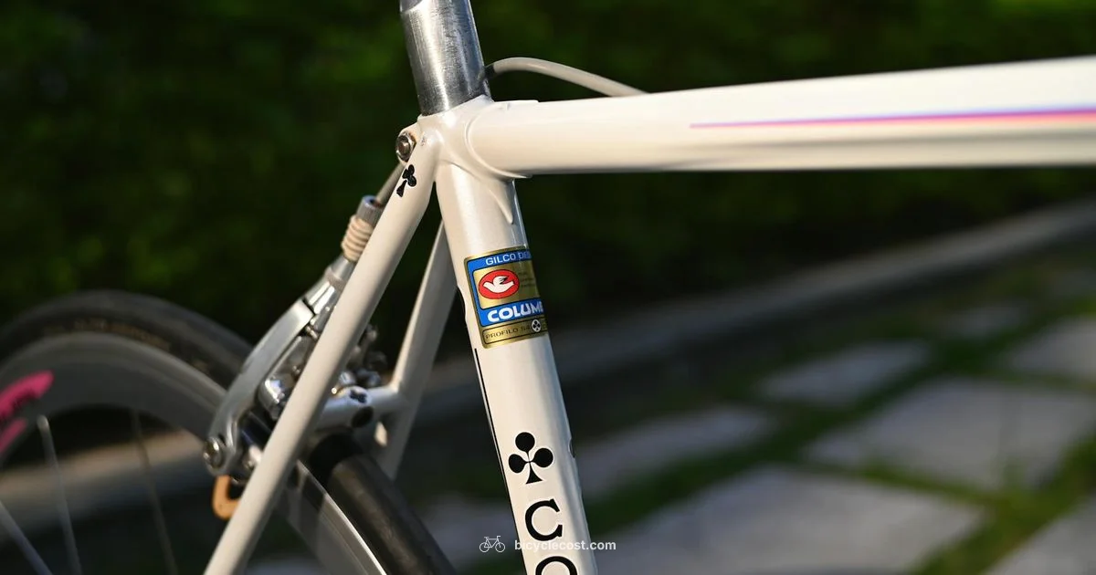 Frame Size Guide - BicycleCost