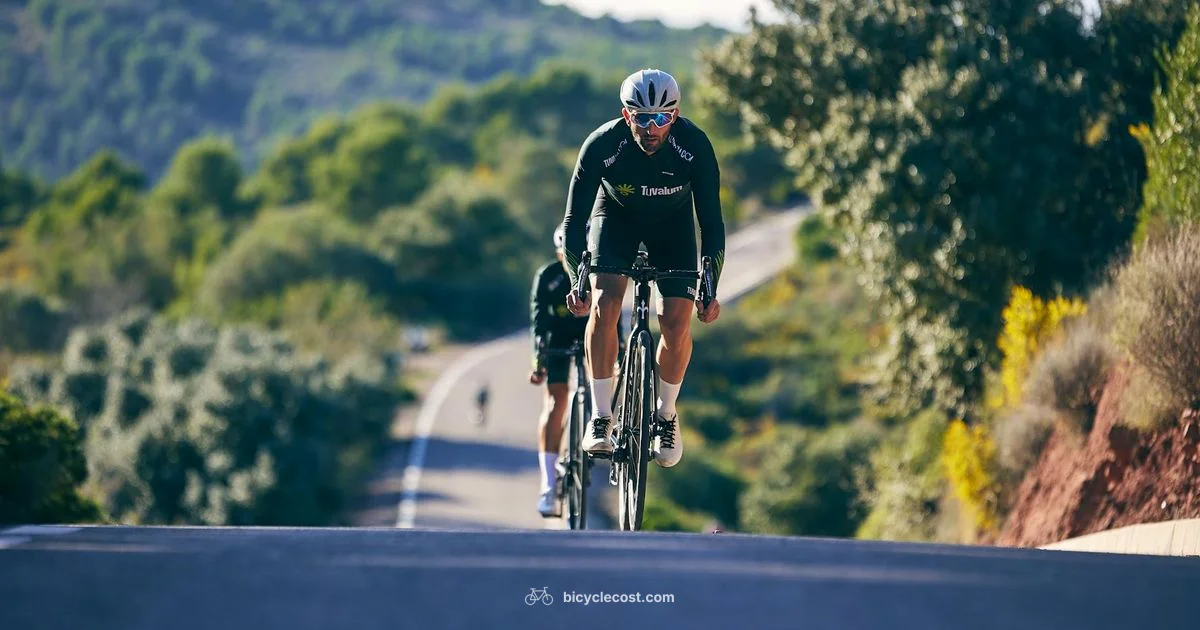 Zwift Indoor Ride - BicycleCost