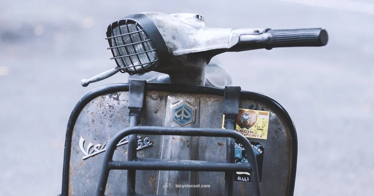 Motor Bicycle for Adults - BicycleCost