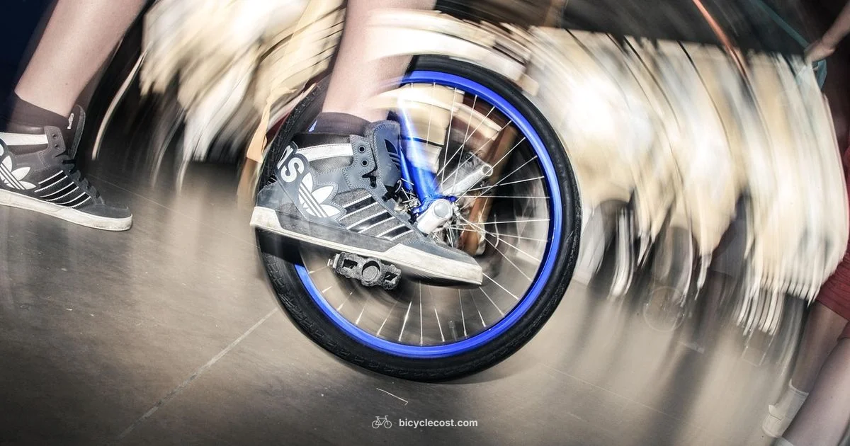 Brand Showdown: Bicycle vs Bee - BicycleCost