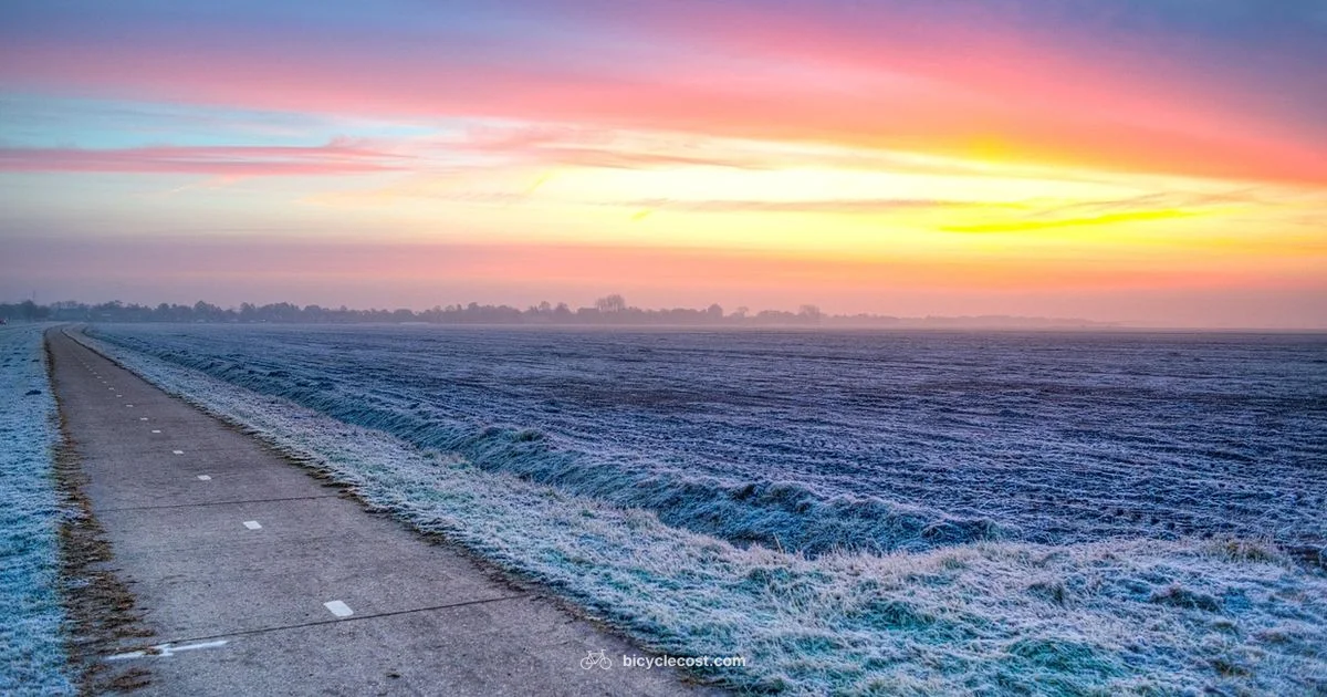 Preconception Ride - BicycleCost