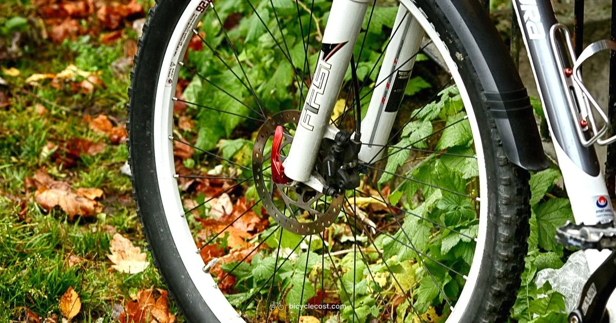 Wheel Size Guide - BicycleCost