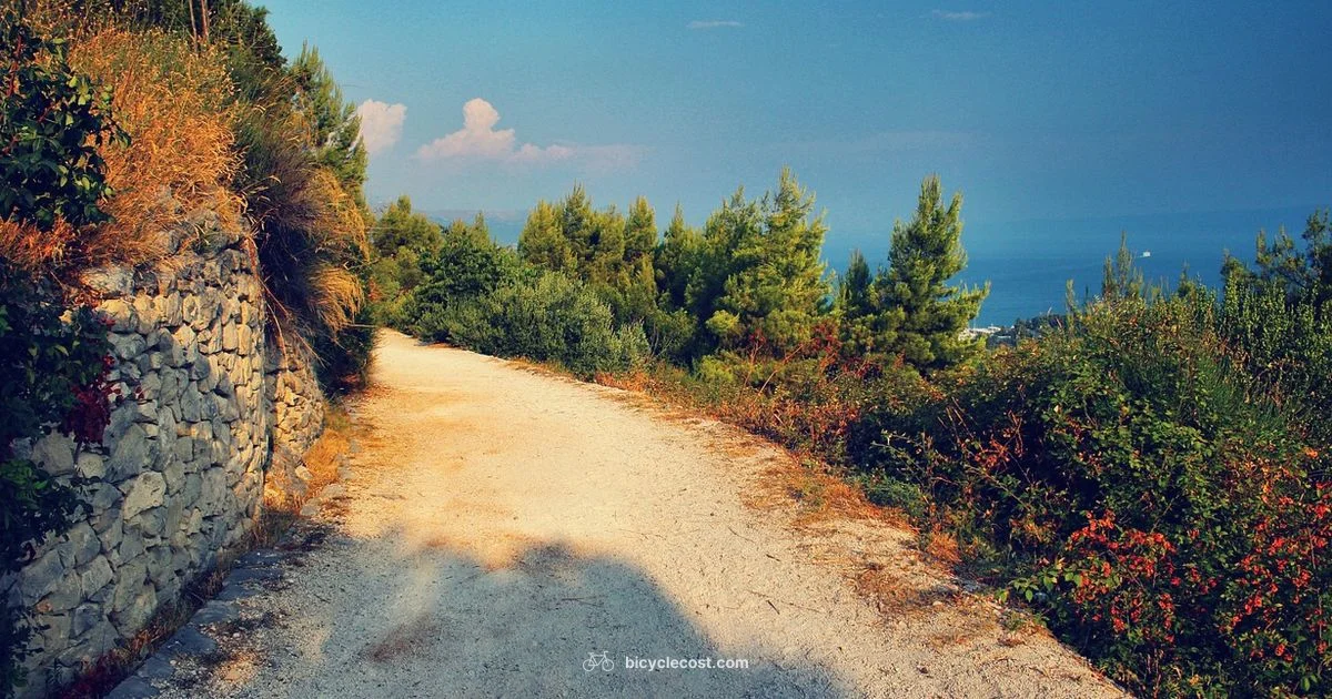Gravel Ready Ride - BicycleCost