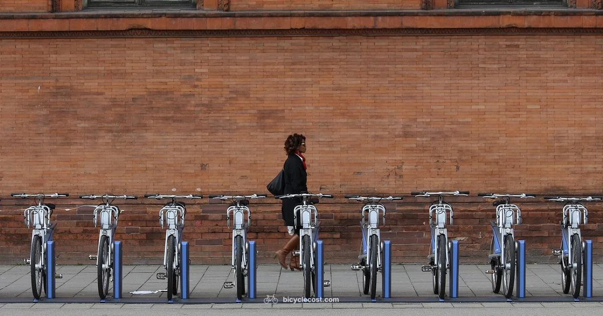 Bicycle Balance - BicycleCost