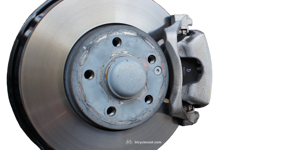 Front Brake Basics - BicycleCost