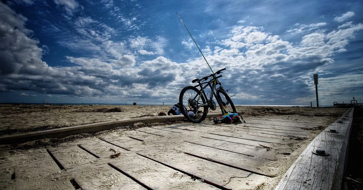 Schwinn Beach Cruiser - BicycleCost