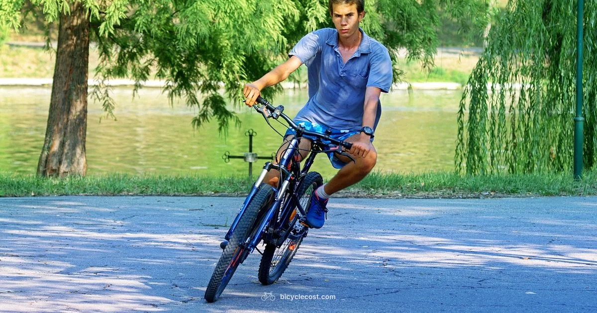 Top Men’s Bicycles - BicycleCost