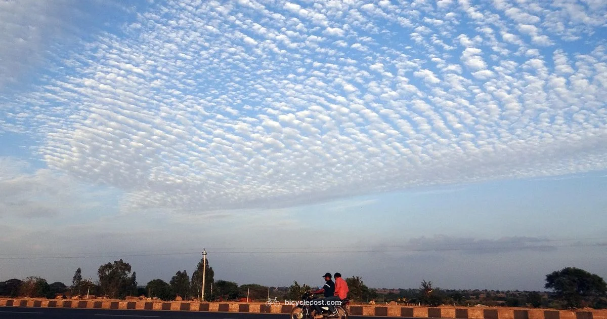 Comfort Meets Efficiency - BicycleCost