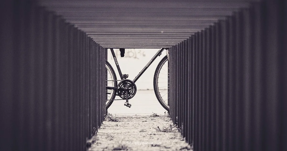 Bike Protection Essentials - BicycleCost