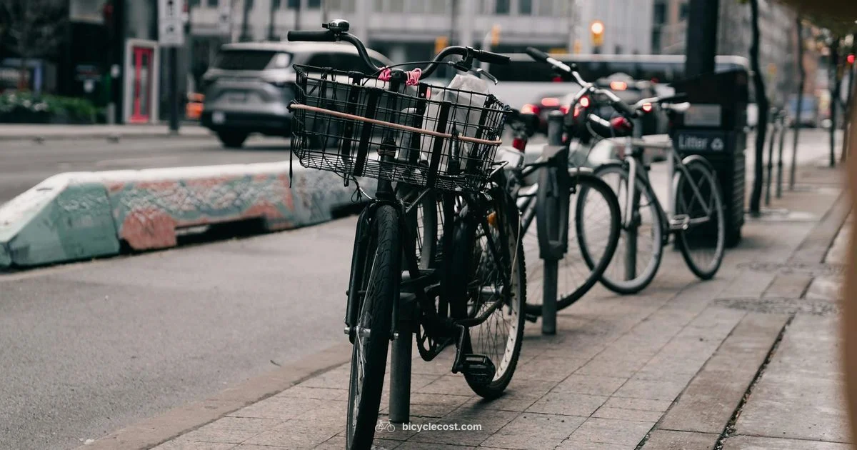 Gas Powered Bicycle Guide - BicycleCost