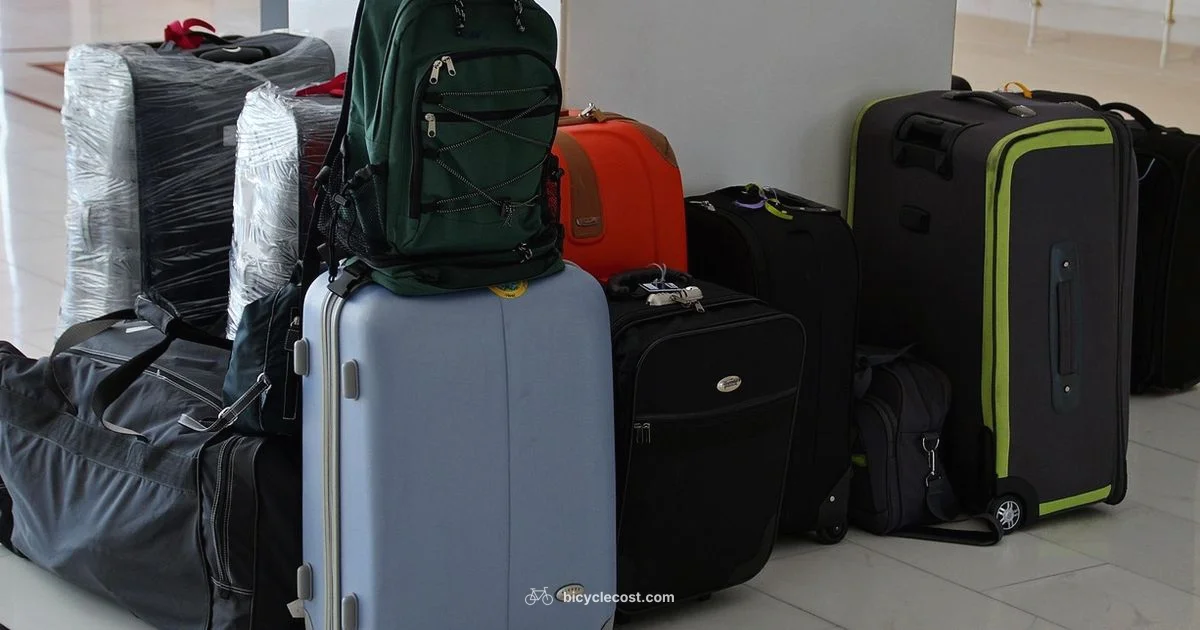 Travel Ready Box Travel Ready Box - BicycleCost