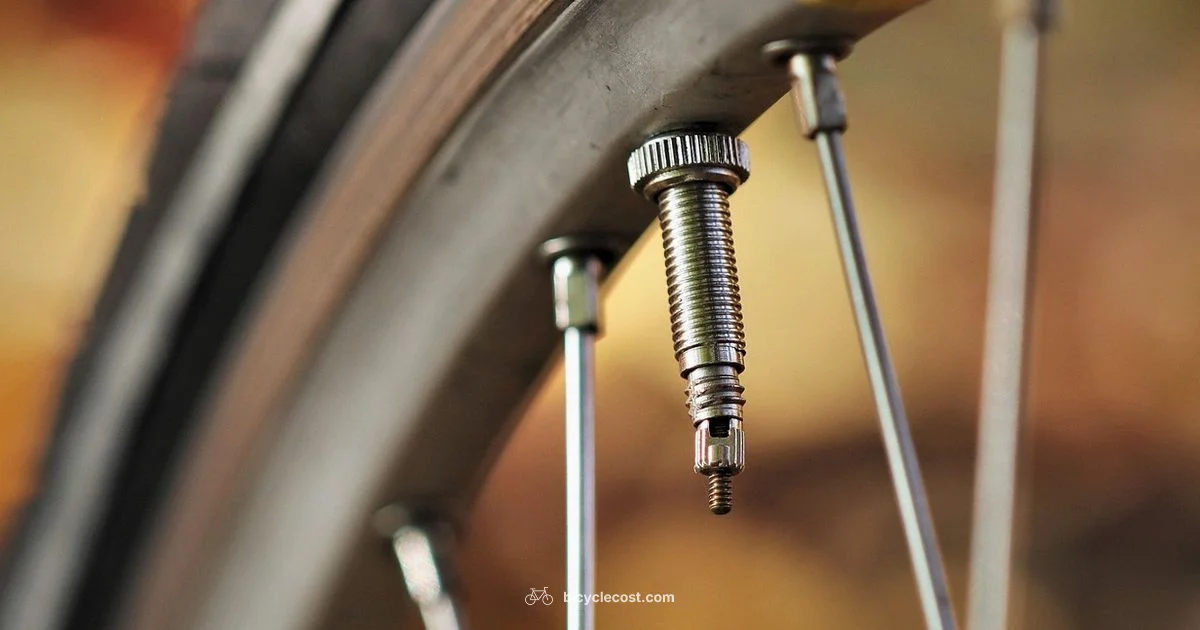 Broken Spoke Guide - BicycleCost