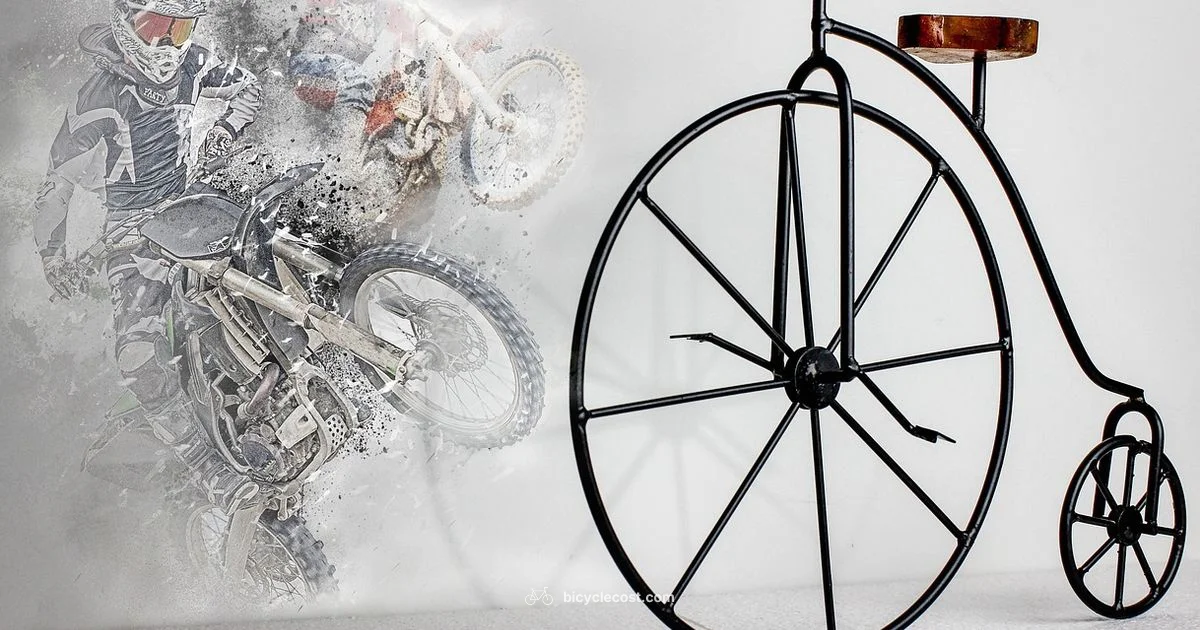 Motorized Bicycle Overview - BicycleCost