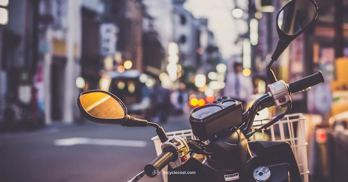 City E-Bike Ride - BicycleCost