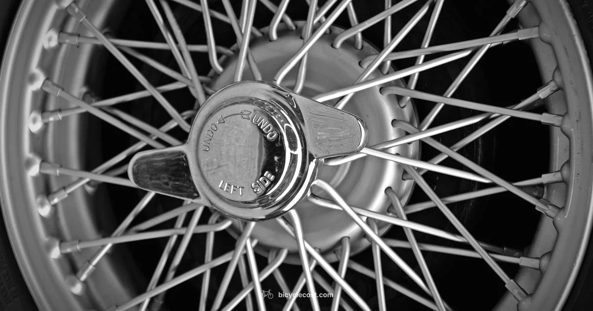 Presta Valve Guide - BicycleCost