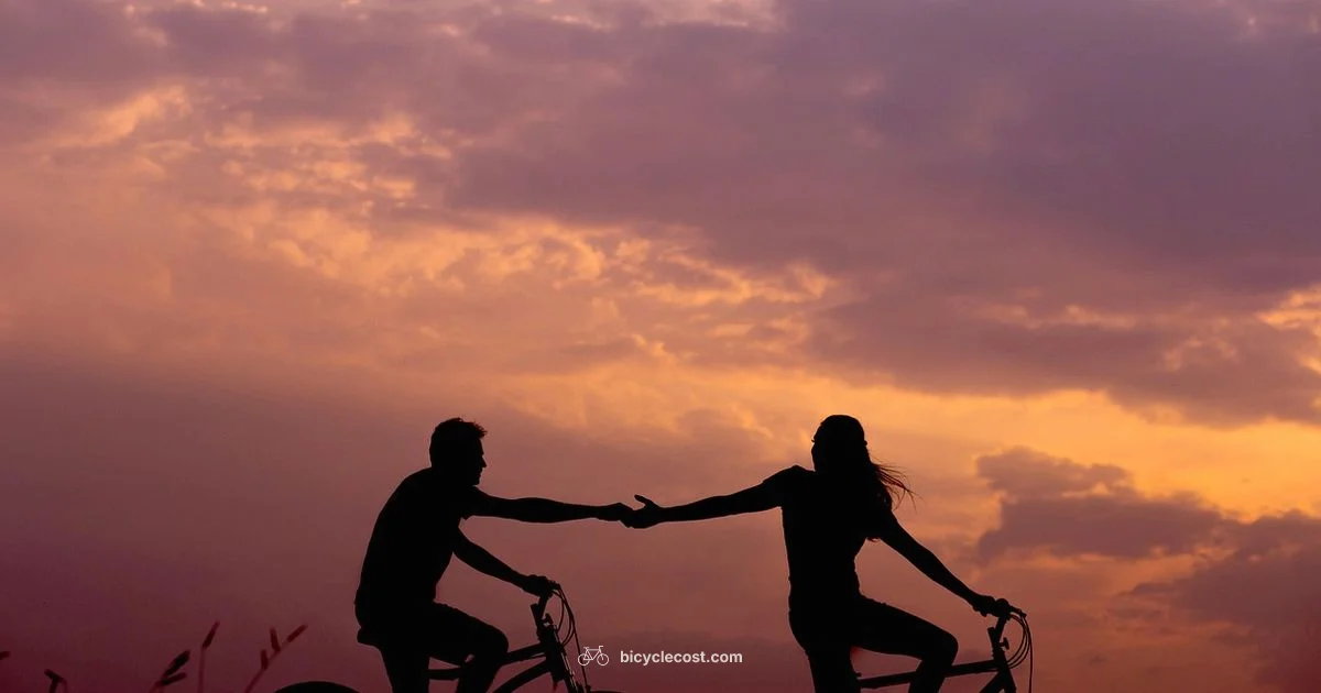 Versatile Uses of a Bicycle - BicycleCost